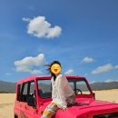 원모타임 | [나트랑] 가족여행 판랑 사막투어 후기 / 지프차 가격, 이용 팁, 준비물 등등