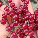 활터어린이공원 이미지