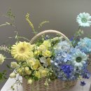 소답동228 | 창원꽃집[비프링] 꽃바구니 꽃배달 생신바구니 인사이동바구니