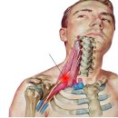 비스타짐 이미지