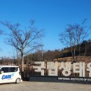 웨스턴방역