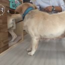 모리농장 이미지