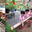 한계사슴농원 이미지