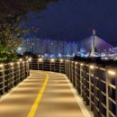 신안남강둔치 이미지