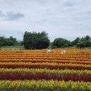 선흘 정원 이미지