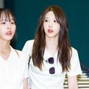 채원