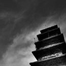 [사진과 시조로 읽는 한국의 석탑] (17) 안동 법흥사지 7층석탑 이미지
