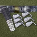 도곡1-114 | TC-202 아이언, 트루템퍼 다이나믹골드 미드(MID)115 S200 샤프트(양재서초강남도곡 미우라아이언피팅)