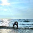 동양워시랜드 | 베트남 푸꾸옥 빈펄리조트앤스파 룸컨디션 후기