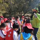 춘천유치원 이미지