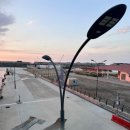 독도 | [울릉도/독도] 독도 입도 성공: 독도 입도 방법/독도 크루즈 승선 후기