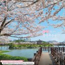 중앙호수공원 이미지