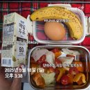 마라톤 다음날은 상체/파이널데스티네이션블러드라인 후기/CGV핑구핑가키링_25.05.18 운동,식단