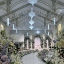 오페라 청 | 💐 대전 팔레드오페라 웨딩홀 계약 후기 (트리아농 홀)