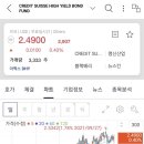 본드일드