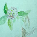 너랑나랑 이미지