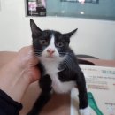 신월동183 이미지