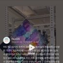 벨라지다 이미지