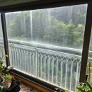 삼환나우빌아파트 | 경기도 용인시 처인구 유리창 청소 업체 추천 - 용인삼환나우빌아파트 화분가득한 베란다창 청소 후기