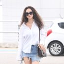 사자머리 이미지
