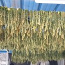 임하목화식당 이미지