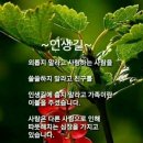 君君 臣臣 父父 子子 (군군 신신 부부 자자) 이미지