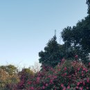 캠프어게인 이미지