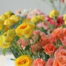 향남유치원 이미지