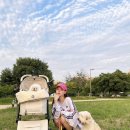 프리지아 스튜디오