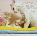 헐 이미지