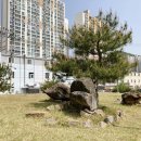 기두5길 이미지