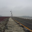 제부모세 3색체험 해안길