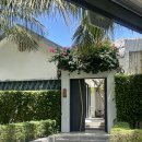 뉴월드약국 | 베트남 푸꾸옥 기념품 리스트, 뉴월드/세일링클럽 리조트 비교 추천