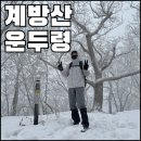 산약초와 산행 | ⛰️ 평창 계방산 최단코스 등산코스 및 시간 (운두령~정상~원점회귀)