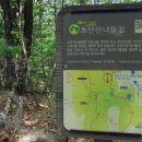 각심재길 이미지