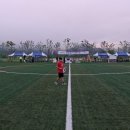 8,15광복 80주년기념 함안군민 건강걷기대회 이미지