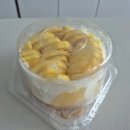 마곡조이부부한의원 | [서울/발산역] 과일맛집1995 택배 케이크에 망고 폭탄 실화야?