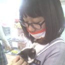 녹번동물병원 이미지