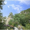 신한아파트 앞 사거리 이미지