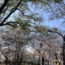 경대교 주변 이미지