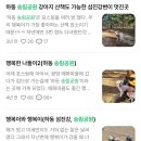 방죽포해수욕장(송림) 이미지