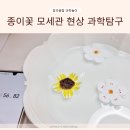 (초등3~5)호기심해결 과학실험왕 | 모세관 현상 유아 초등 과학놀이 종이꽃 피우기 과학실험 탐구