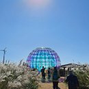 푸른어린이공원 | 상암동 하늘공원 서울억새축제를 다녀온 후기