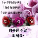 경북골프경영고등학교 | 의성지원 경매2계 2024 타경 11745 [전]