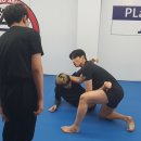 알파레슬링 이미지