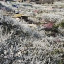 지리산 매화네 식품
