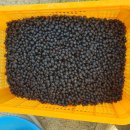 새뜸농장 이미지