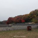 성신사 | 인근 갈만한 곳 경기도 수원시 수원 화성을 다녀와서 (방문 후기)