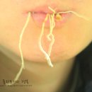 천지영농조합법인 동부지점 | 천삼본가 산삼공식지점 , 산양산삼 추천