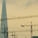 빛그린 행정사 이미지